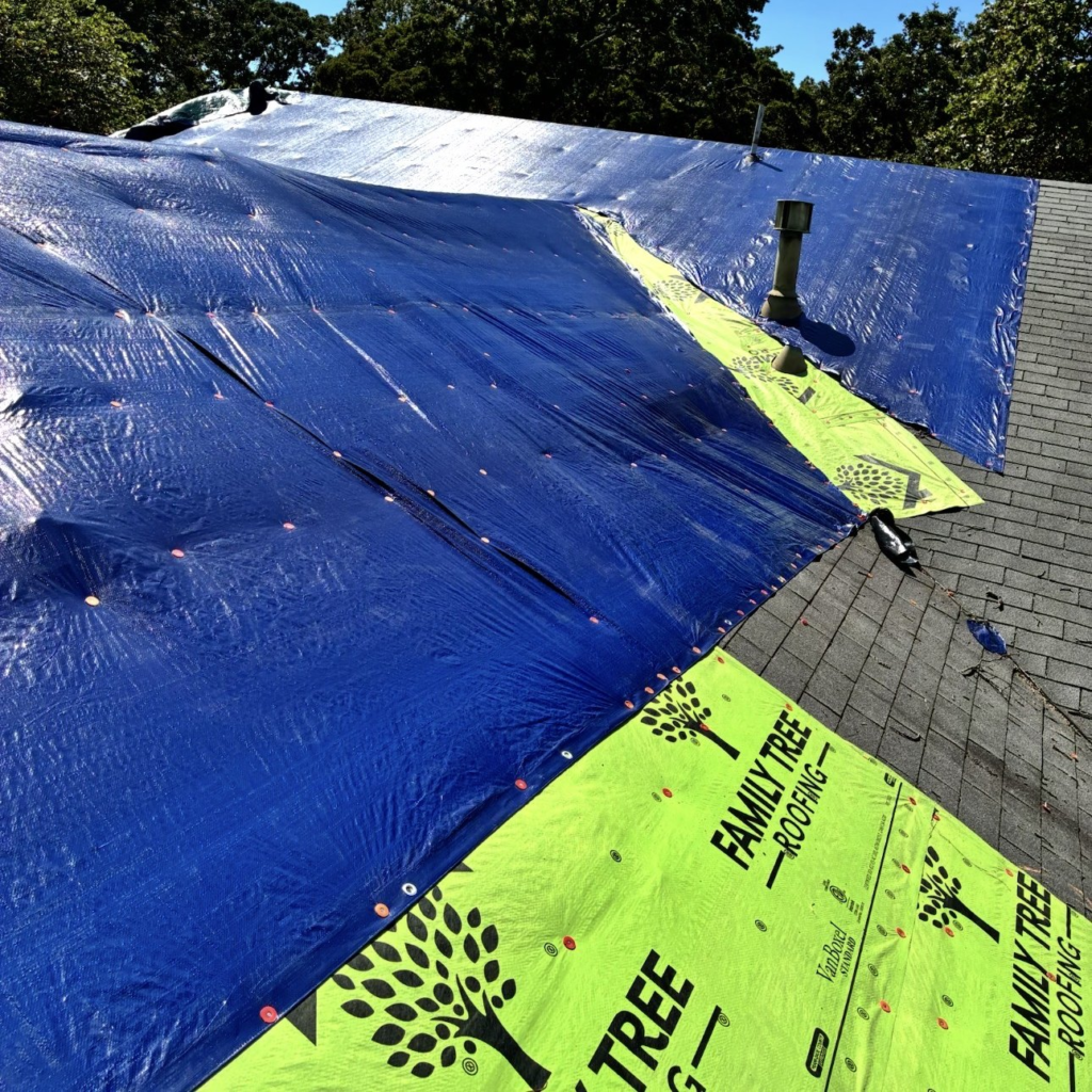 Blue emergency tarp fastened over a storm-damaged roof in Sperry, next to Family Tree Roofing branded underlayment