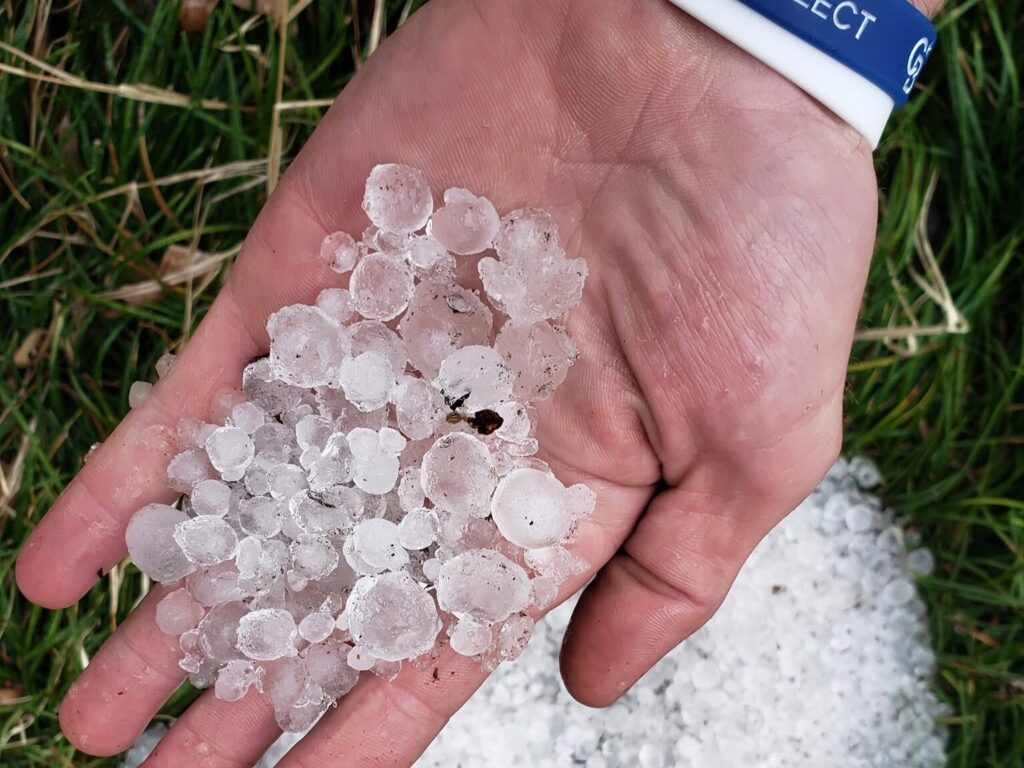 A handful of hailstones gathered after a storm