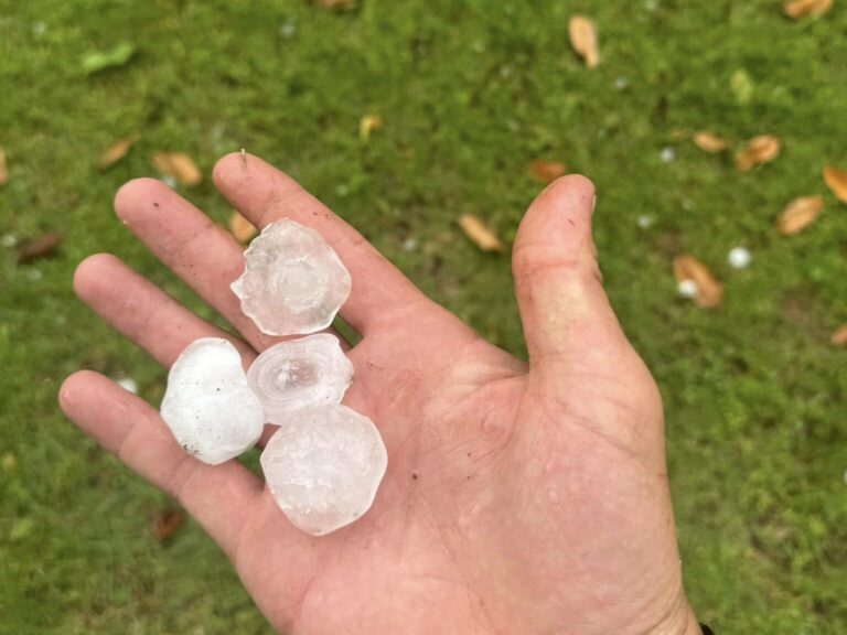 Hailstones held in a hand after a storm