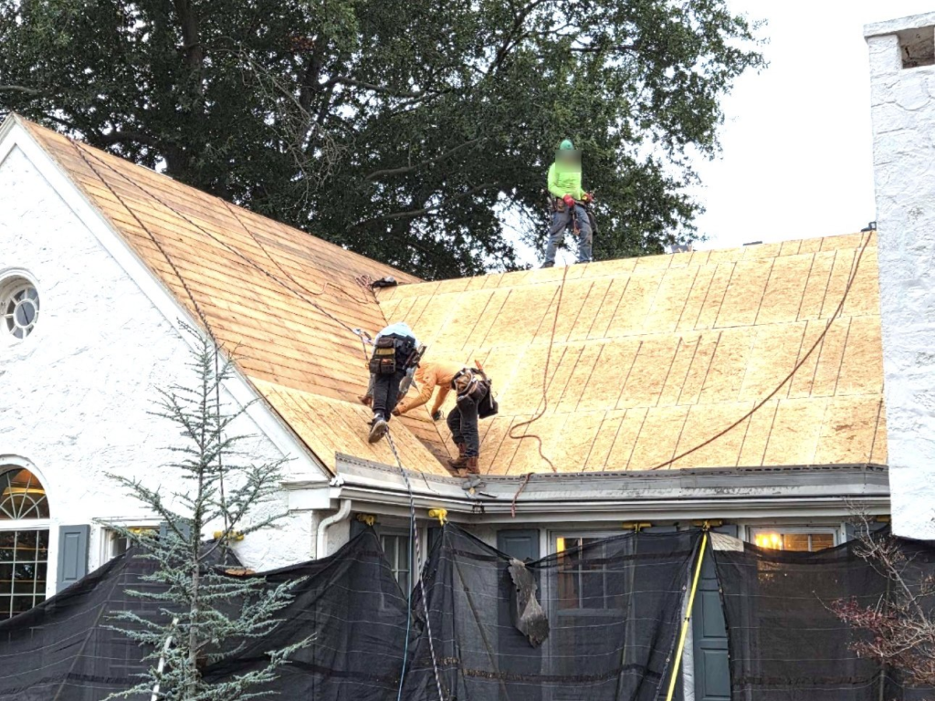 Family Tree Roofing crew in safety harnesses installing new roof decking, with Catch-All netting protecting the house and landscaping